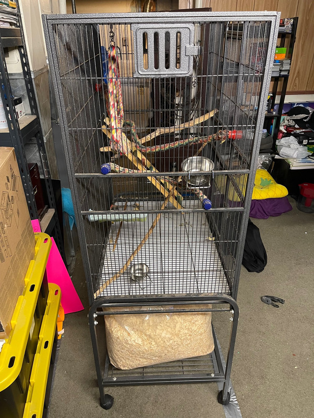 Large Cage - small animal/bird ($300 OBO) in Other in La Ronge - Image 2