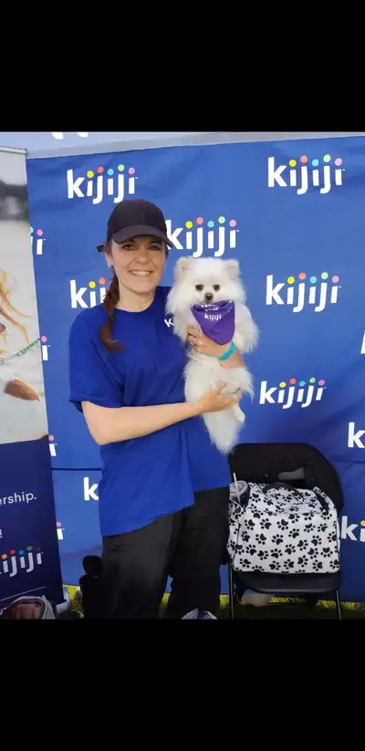 Professional Mobile Groomer With Over 35 Years Experience, View more