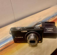 Panasonic LUMIX DMC-FX37 10MP Digital Camera