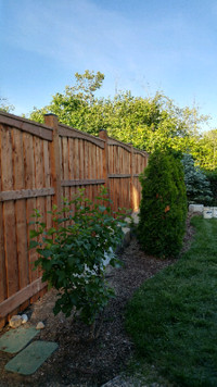 New Fence/Gate/Deck, Repairs, and more