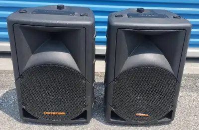 Selenium SPM-1202-a active 12" 2-way professional audio speakers, View more