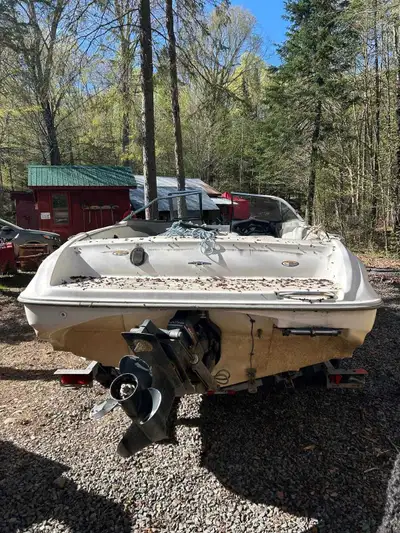 Passenger windshield broken in a tent collapse this winter. Boat is otherwise mint. New starter. Fis...