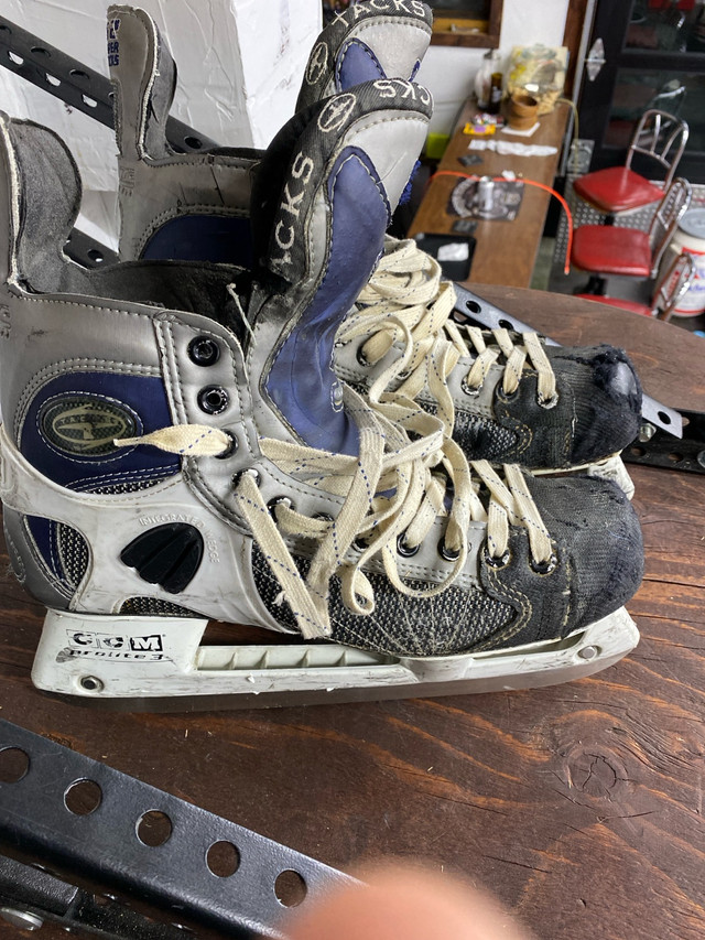 Goalie Bag , sticks, skates  in Hockey in Lethbridge - Image 4