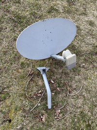 Starchoice and bell dish / LMB