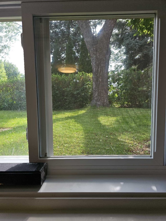 Asain Student Helper/Roommate Needed — photo 1