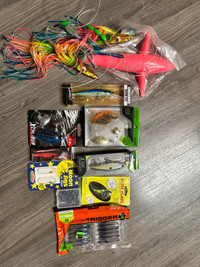 Fish lures 