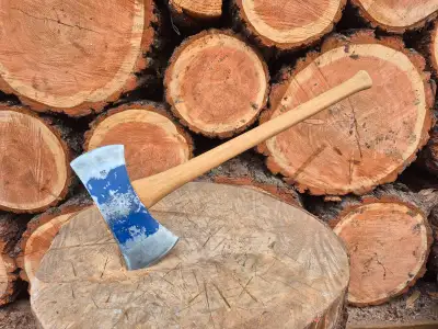 Swedish HB small cruiser double bit on 24" handle FOR SALE, View more