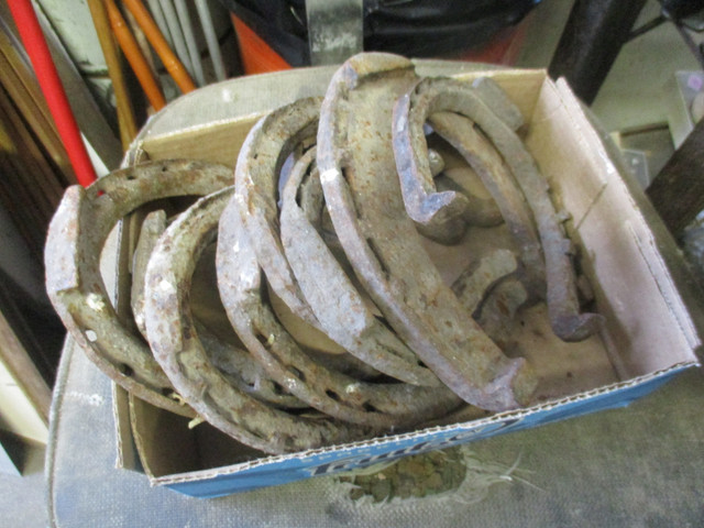 ANOTHER BOX OF OLD CAST IRON BLACKSMITH MADE HORSE SHOES $5. EA. in Arts & Collectibles in Winnipeg