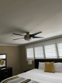 Ceiling light with fan