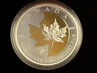 2013 Silver Maple Leaf 25th Anniv. Gold Plating Pure Silver Coin