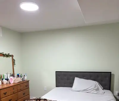 room for rent