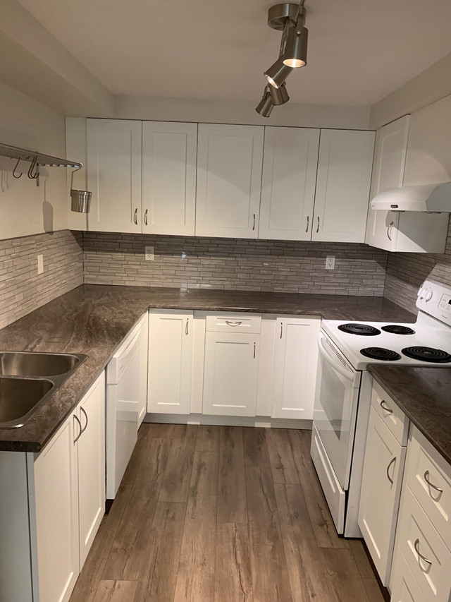 Legal Basement Suite St Albert Long Term Rentals Edmonton Kijiji