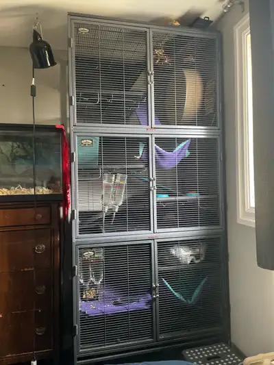 Comes with fleece liners and hammocks and water bottles and dishes for food and exersice wheel and b...