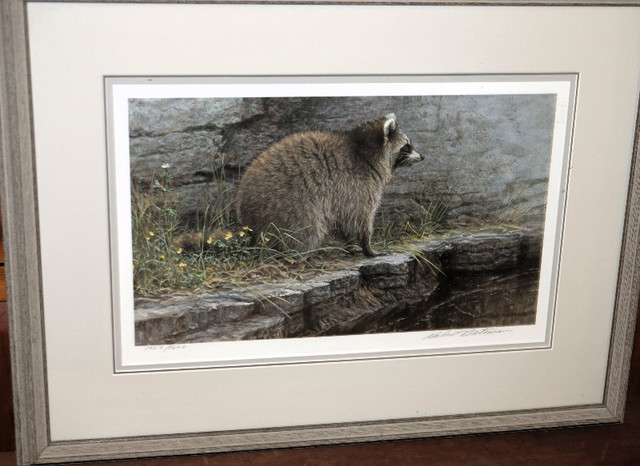 Robert Bateman / Distant Danger - Raccoon in Arts & Collectibles in Markham / York Region