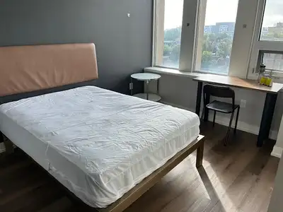 Ottawa Downtown Students apartment rent for 1 year