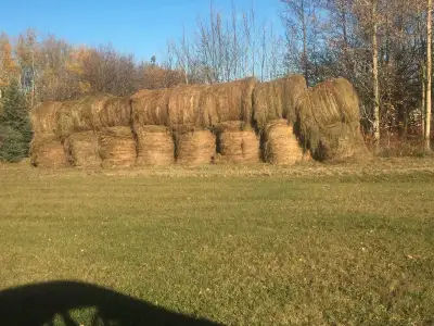 Hay for sale $80 each Loading available 8 bales left