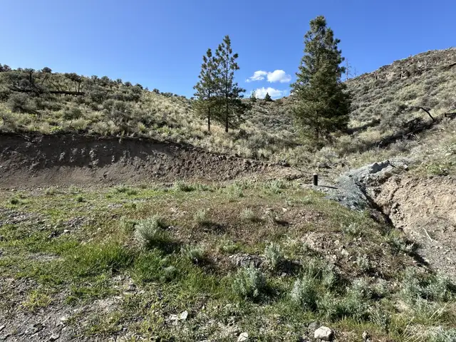 7 VIEW Acreages For Sale 32 Mins W of Kamloops 8, 10, 81 Acres in Land for Sale in Kamloops - Image 5