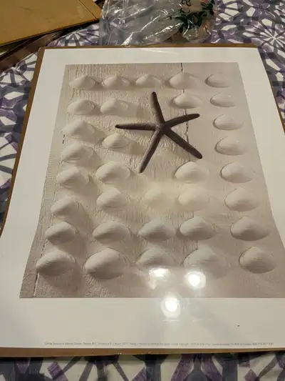 IKEA shells and starfish poster New, View more