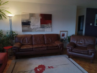 roche bobois leather couch and chair - Fab!