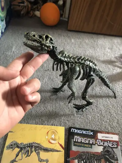 Diary of wimpy kid metal case Magnetic dinosaur puzzle and various fossils inc Buffalo tooth, arrowh...