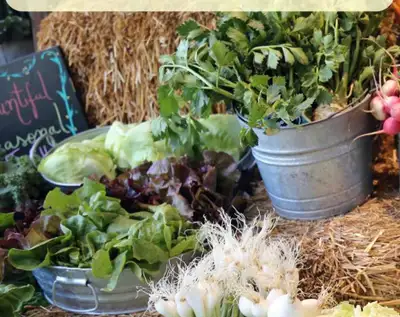 Need any gardening help. I am available!! Message me and we can set a schedule. Thank you Payment ca...