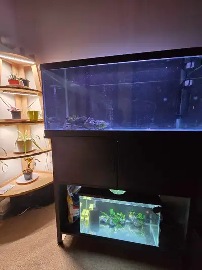 dual aquarium and stand, View more