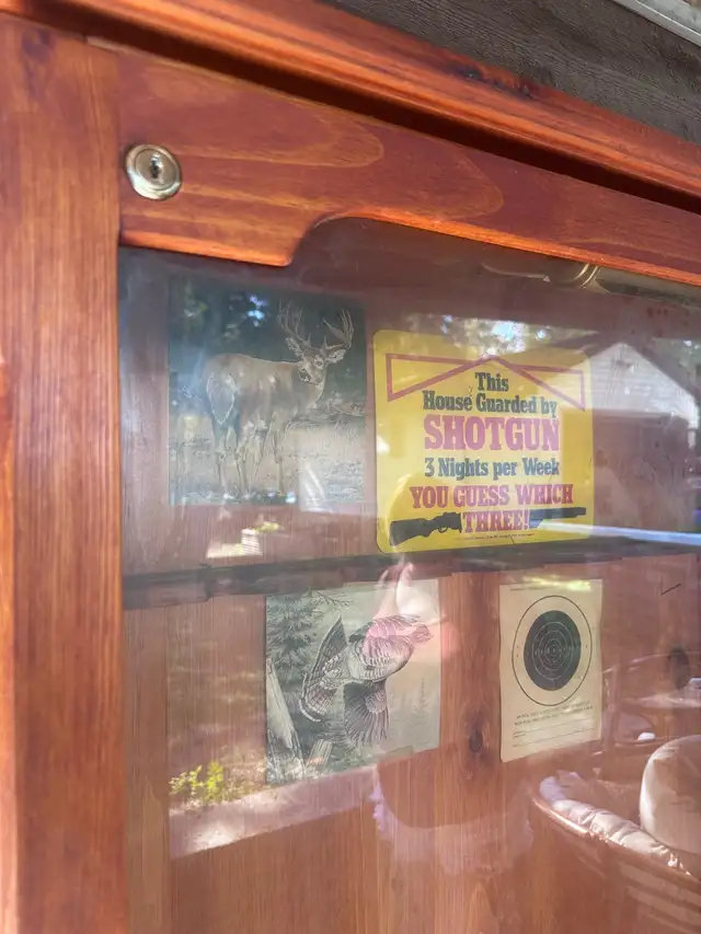 Gun cabinet  in Hutches & Display Cabinets in Peterborough - Image 3
