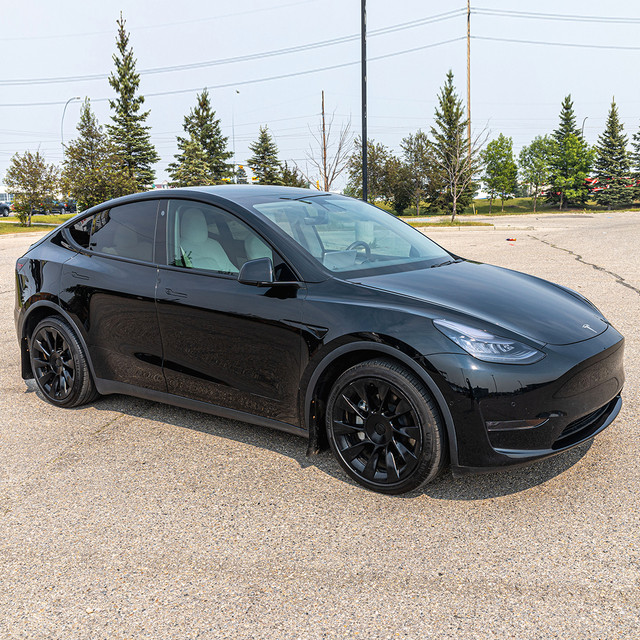 Tesla Model Y in Cars & Trucks in Calgary
