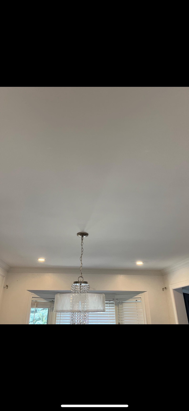 Drywall Taping and Popcorn Ceiling removal FREE ESTIMATE dans Cloisons sèches et stucco  à Région de Mississauga/Peel - Image 3
