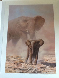 John Seerey Lester Abroseli Child-African Elephants