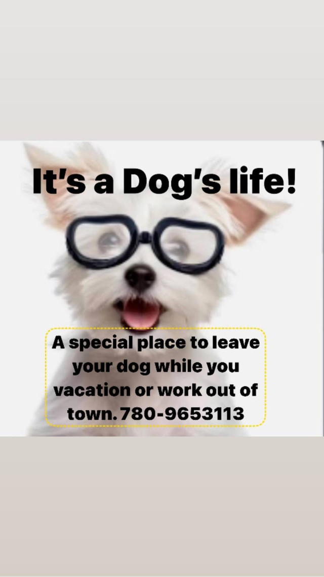 Wag’s Pet sitting Edmonton 780-9653113 in Animal & Pet Services in Edmonton - Image 4