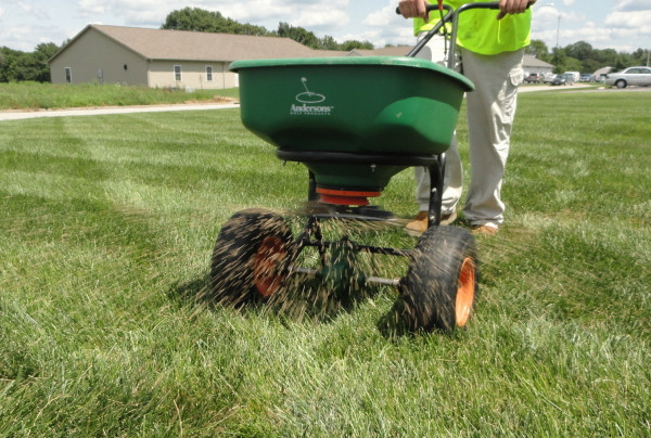 Lawn Aeration, Detaching, OverSeeding & Fertilization. Lawn Care in Childcare & Nanny in Oakville / Halton Region - Image 4