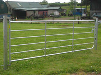 ISO Metal gate (Farmers swing gate/or camp gate)