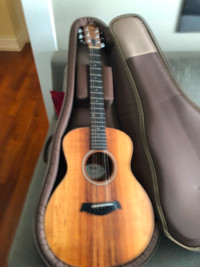 Taylor GS Mini