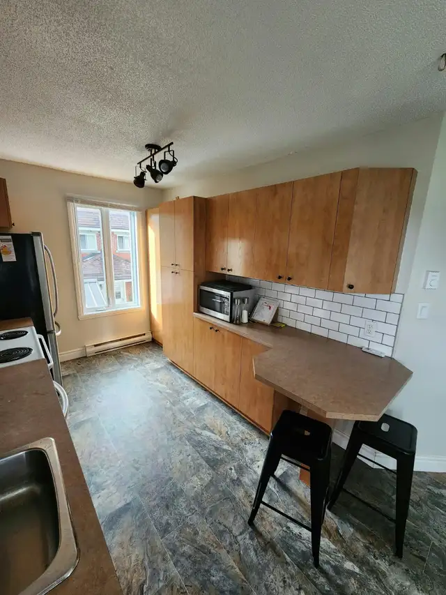 Grand 4 1/2 lumineux in Long Term Rentals in Thetford Mines - Image 5
