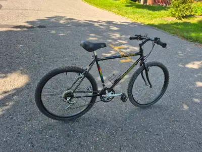 Raleigh tuned mountain bike (19.5" frame), View more