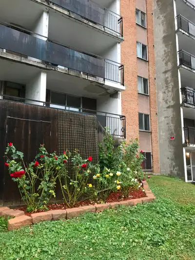 APARTMENT FOR RENT