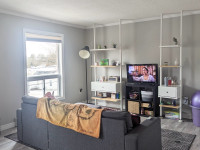 Beautiful 1-Bedroom Apartment for Rent in Flesherton! April 1!