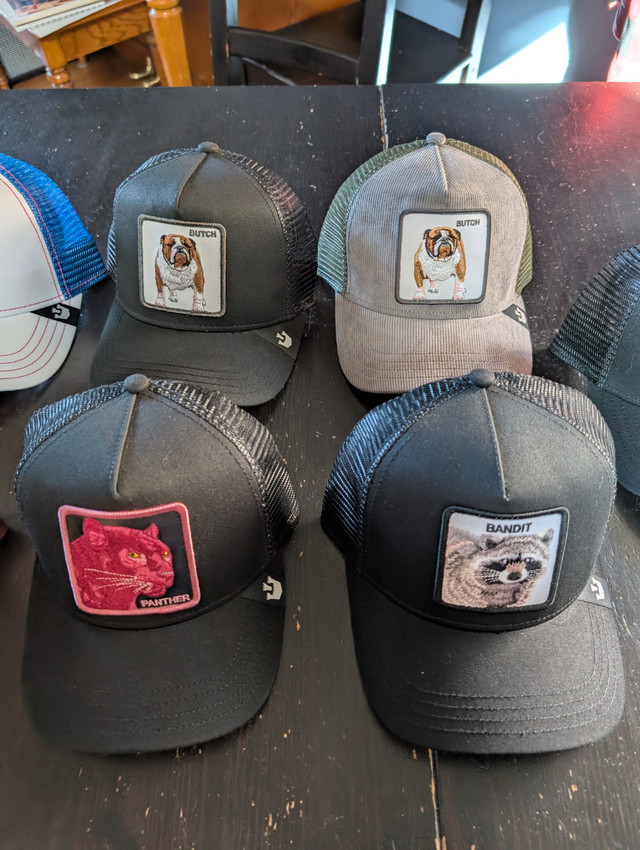Goorin Bros Trucker Hats - The Farm Collection - NEW in Men's in Edmonton - Image 3