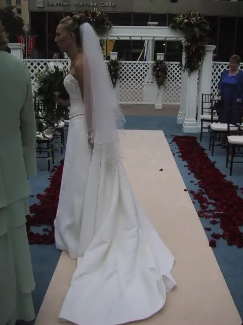 Elegant Demetrios wedding gown in Wedding in Saskatoon - Image 10