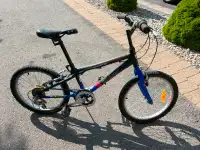 20in Wheel Youth Bike