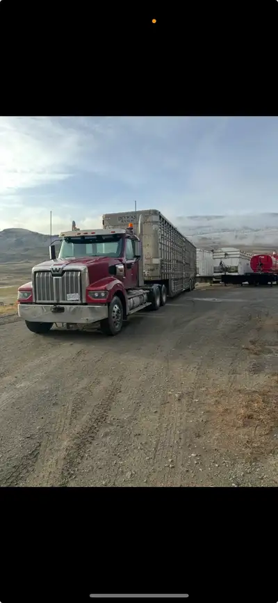 Looking for farm class 1 driver, View more
