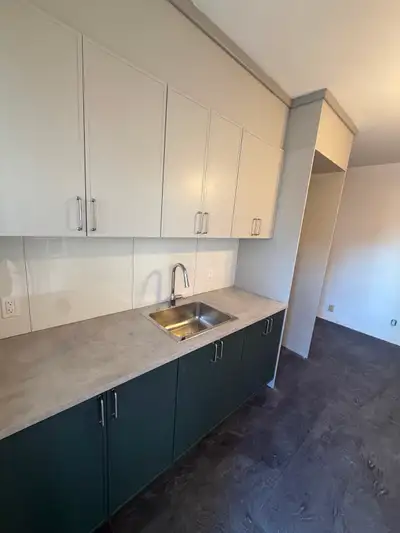 Grand 3½ rénové – 650 pi² – Plateau Mont-Royal (Parc Baldwin) Rue Chapleau, à proximité du parc Bald...