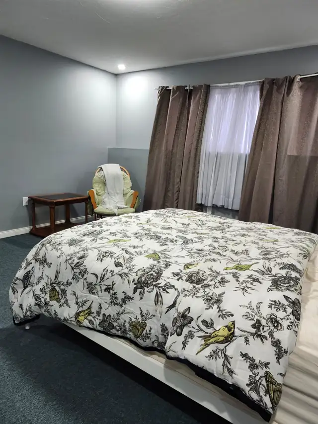 2 Beds, 1 bath, living, dining and kitchen at Fredericton South in Long Term Rentals in Fredericton - Image 10