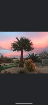 Arizona Oasis