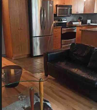 Room for rent. Nice, clean apartment. Downtown Montreal. Quiet clean neighborhood. Washer, dryer, Wa...