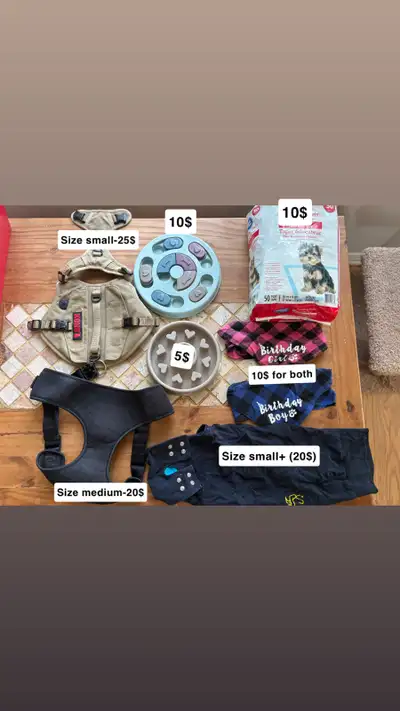 dog accessories , View more