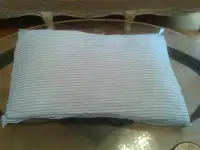 Queen Size Pillow, 100% Cotton, in Good Condition, Very Clean
