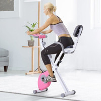 Soozier Indoor Magnetic Upright/ Recumbent Exercise Bike