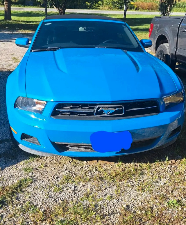 2010 Ford Mustang in Cars & Trucks in Windsor Region